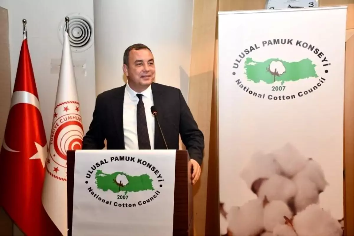 Pamuk Üretiminin Önemi ve Krizler