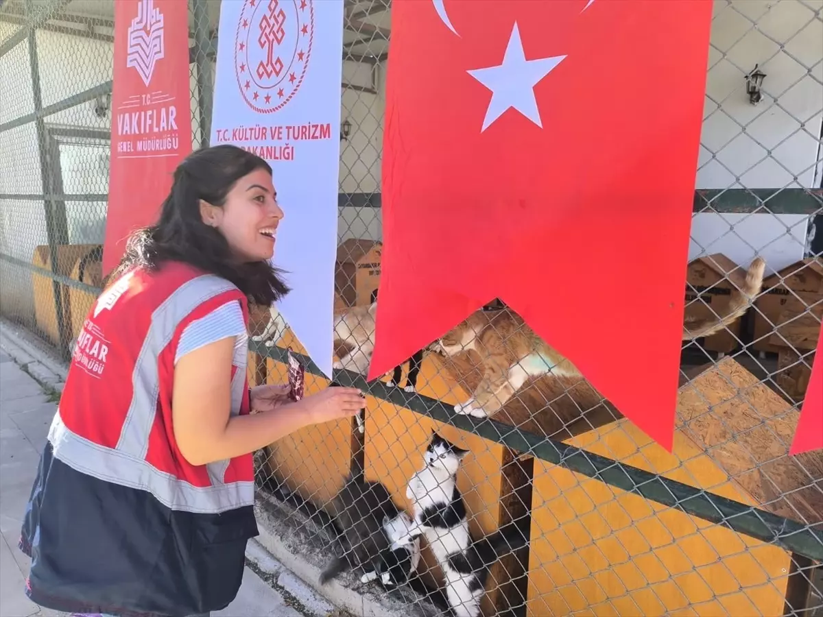 Diyarbakır\'da Hayvanlara Destek