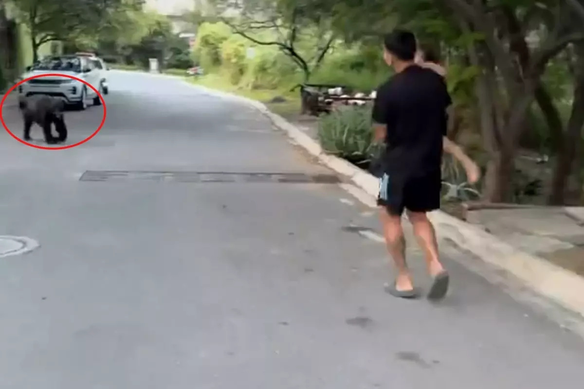 Evine giden yıldız futbolcu gördüğü manzara karşısında şoke oldu