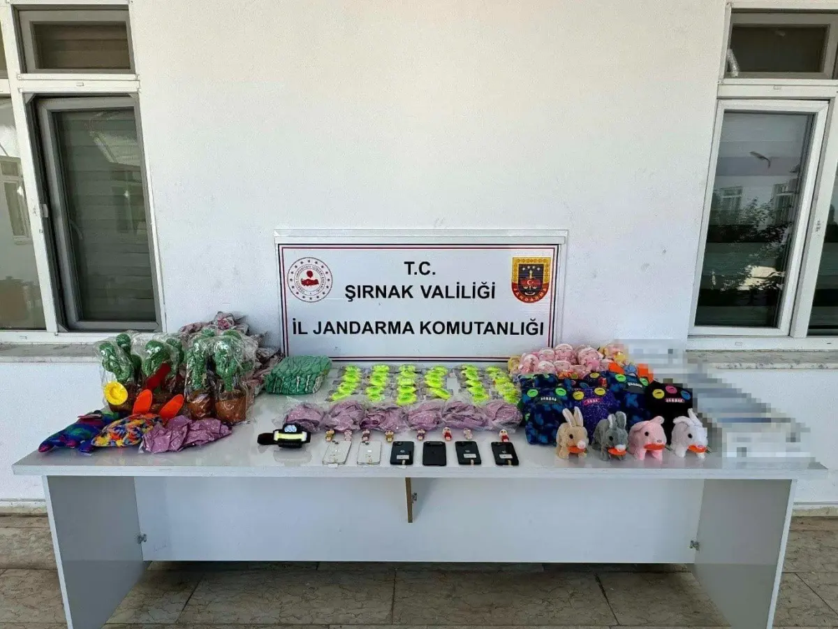 Şırnak\'ta Kaçakçılık Operasyonu