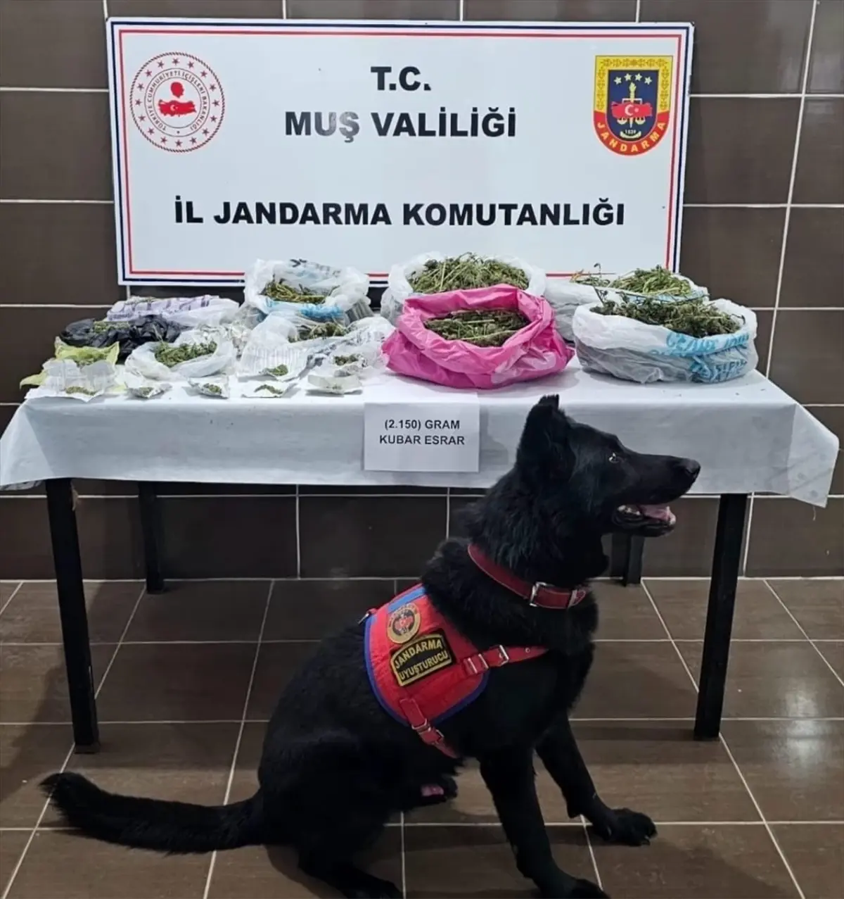 Muş\'ta Esrar Operasyonu: 2.15 Kg Ele Geçirildi
