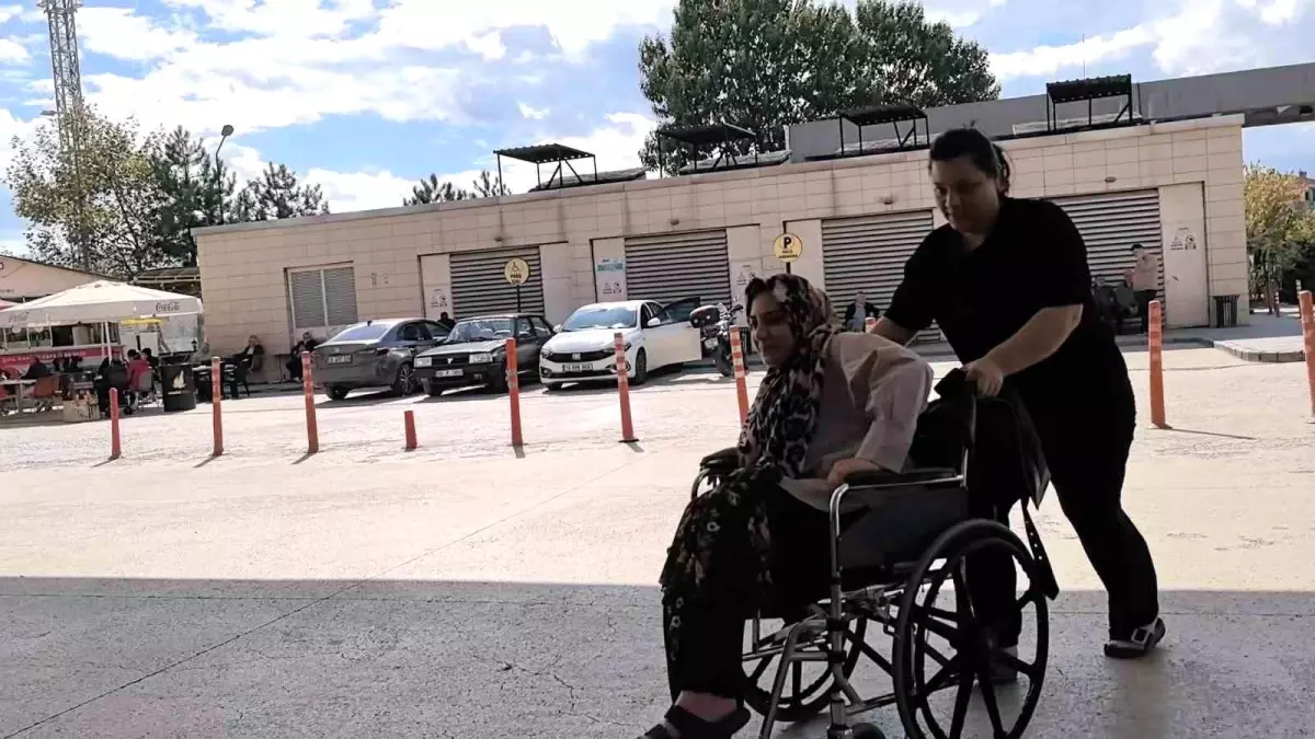 Piknik yaparken yılan saldırısıyla karşılaştı