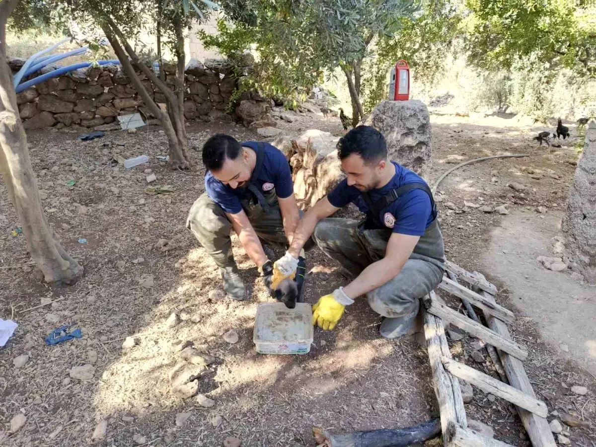 Karaköprü\'de Yavru Köpek Foseptikten Kurtarıldı