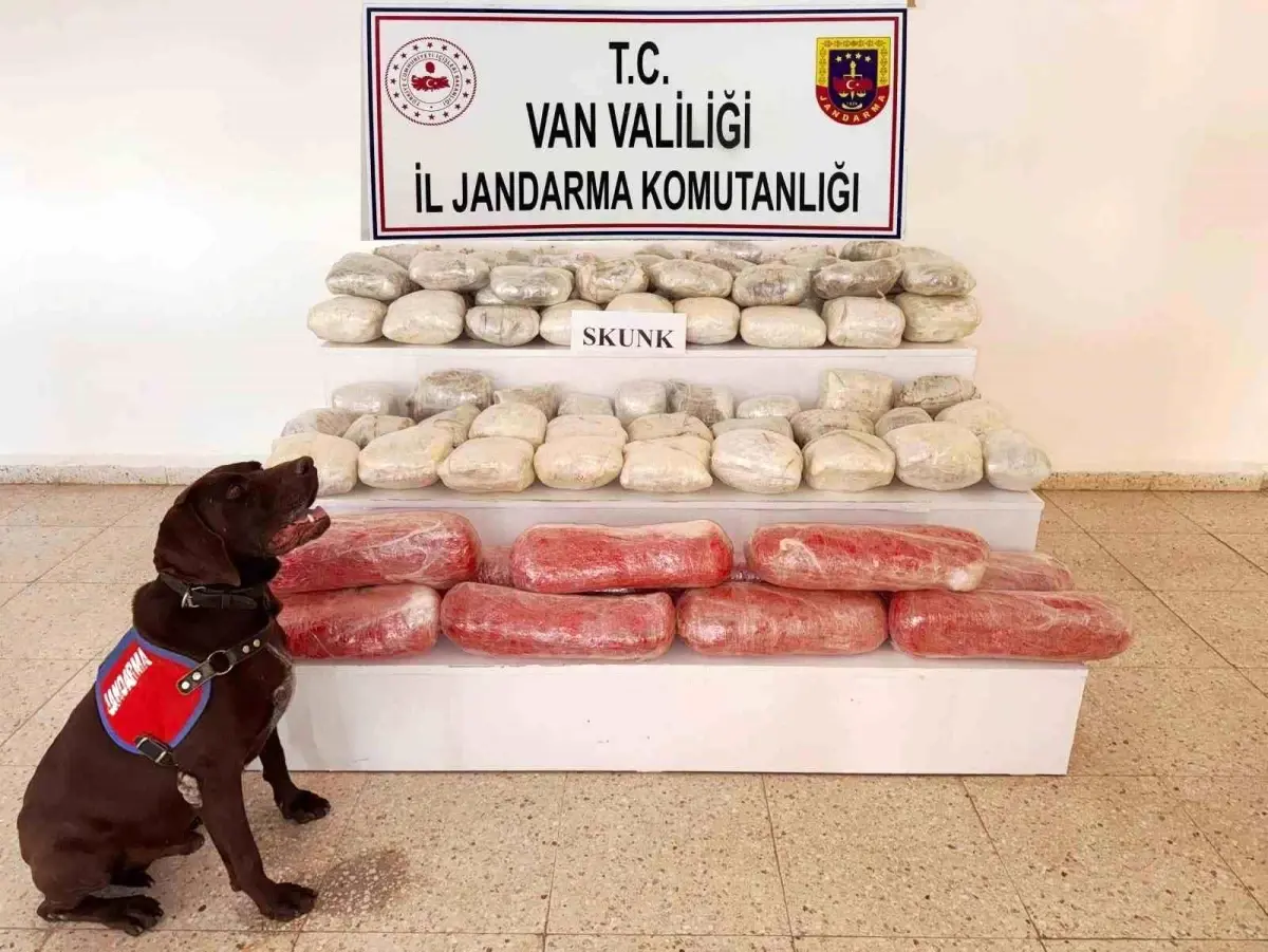 Başkale\'de 61,9 Kilogram Skunk Ele Geçirildi