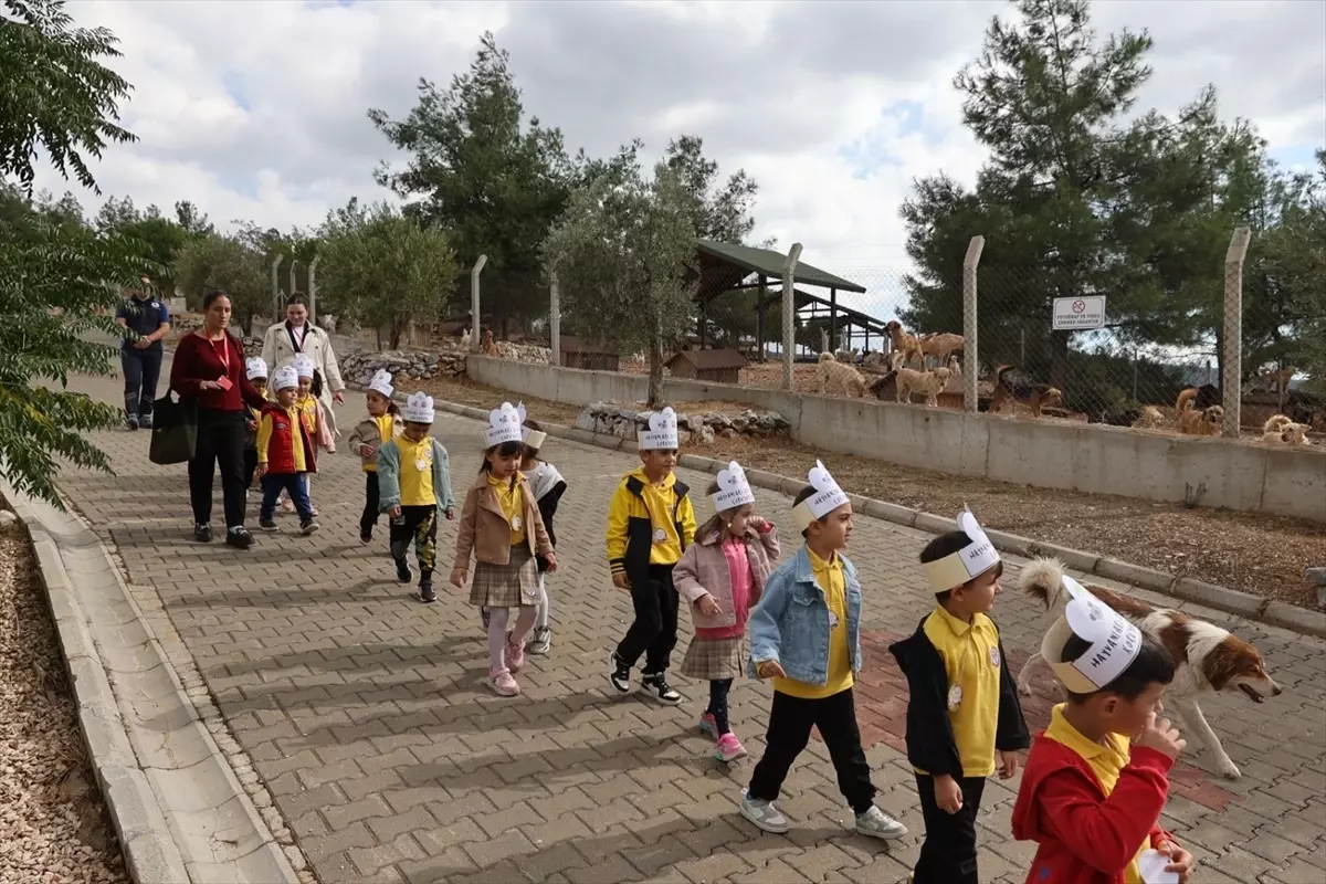 Dünya Hayvanları Koruma Günü Muğla\'da Kutlandı