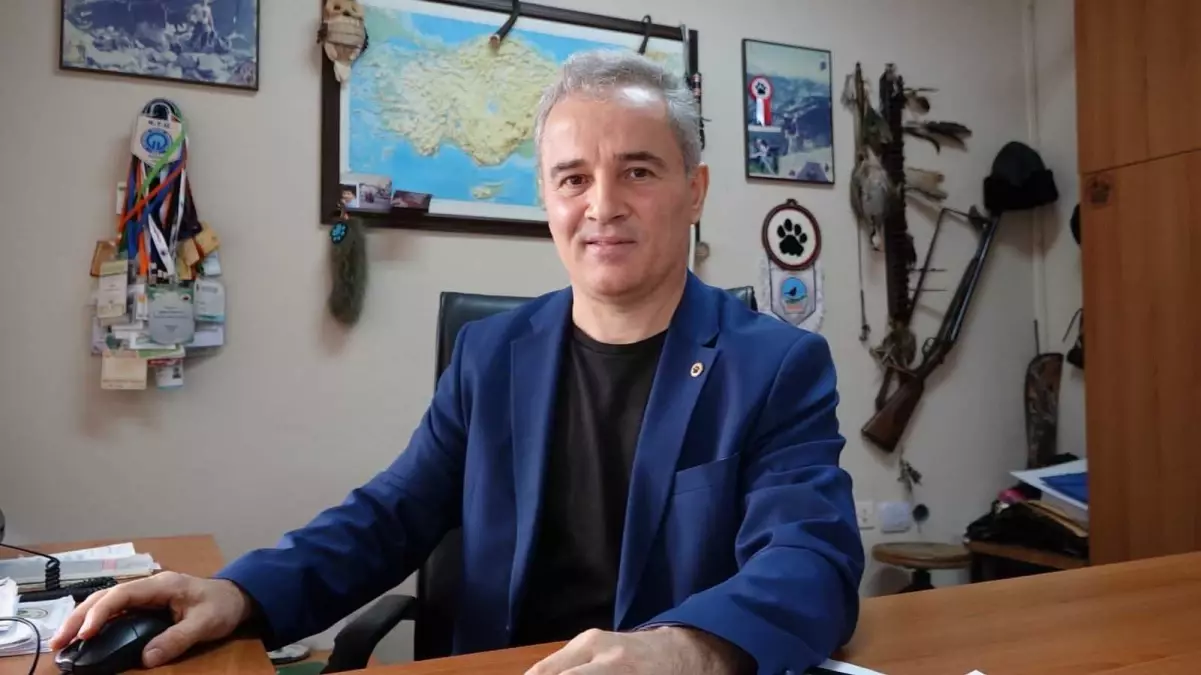 Ayı Popülasyonu 5 Kat Artarak Tehlike Oluşturuyor