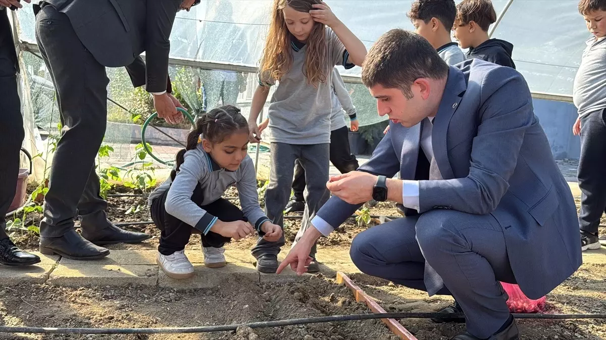 Samsun\'da okul bahçesindeki serada çocuklara uygulamalı tarım eğitimi veriliyor