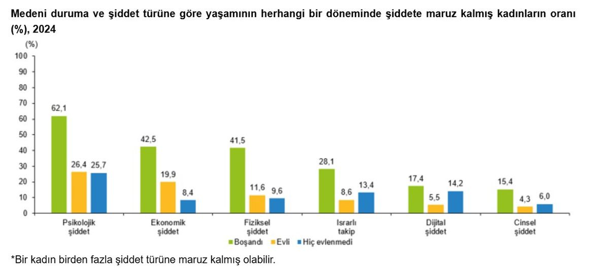 Kadına Yönelik Şiddet Raporu: Yüzde 28,2 Psikolojik Şiddete Uğradı