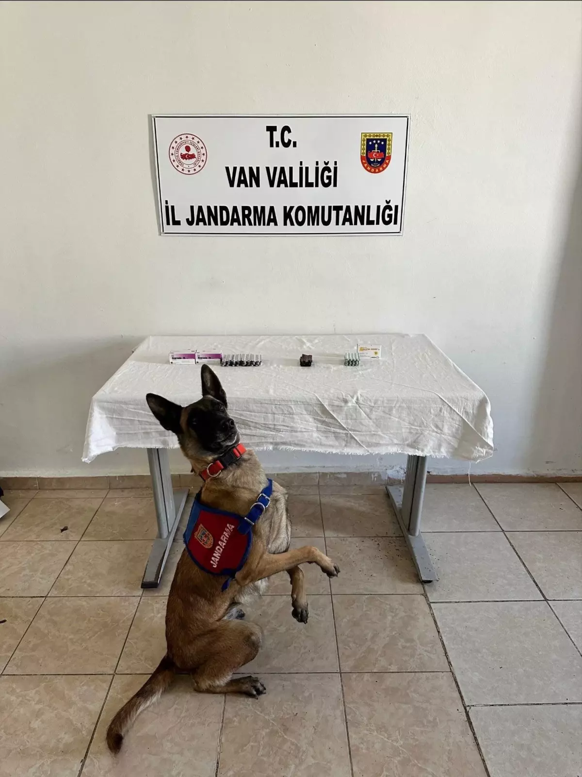 İpekyolu\'nda Uyuşturucu Operasyonu: 380 Hap Ele Geçirildi