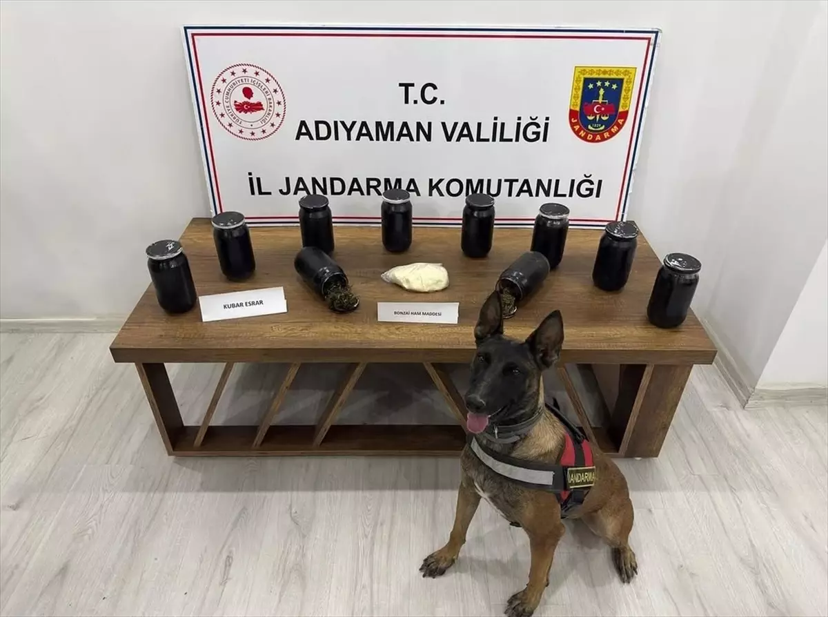 Kahta\'da Uyuşturucu Operasyonu: 2 Gözaltı