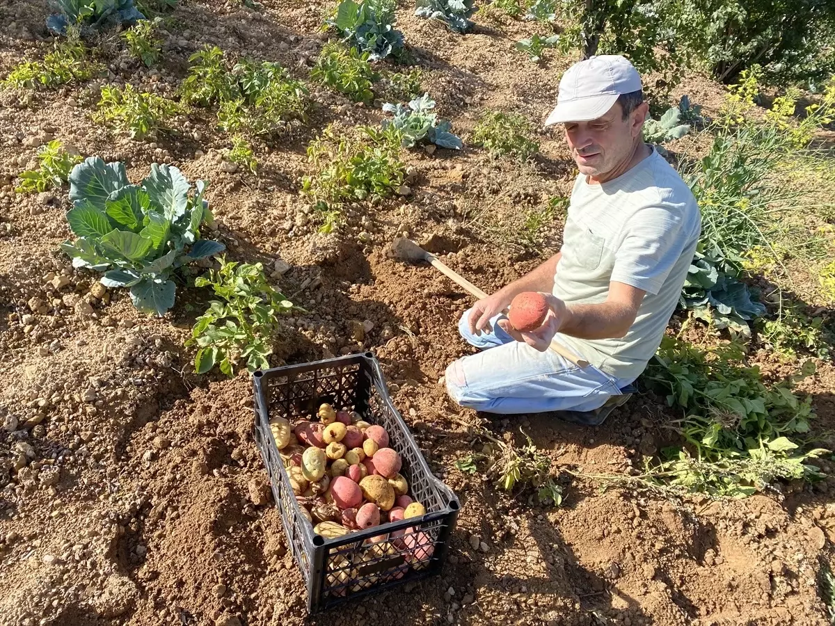 Yayla Ürünleri Kışa Hazır
