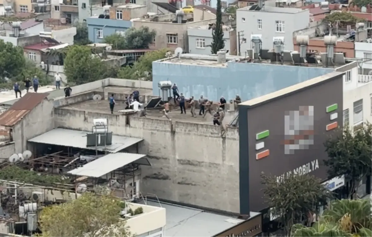 Polise Bıçakla Saldıran Şizofren Etkisiz Hale Getirildi