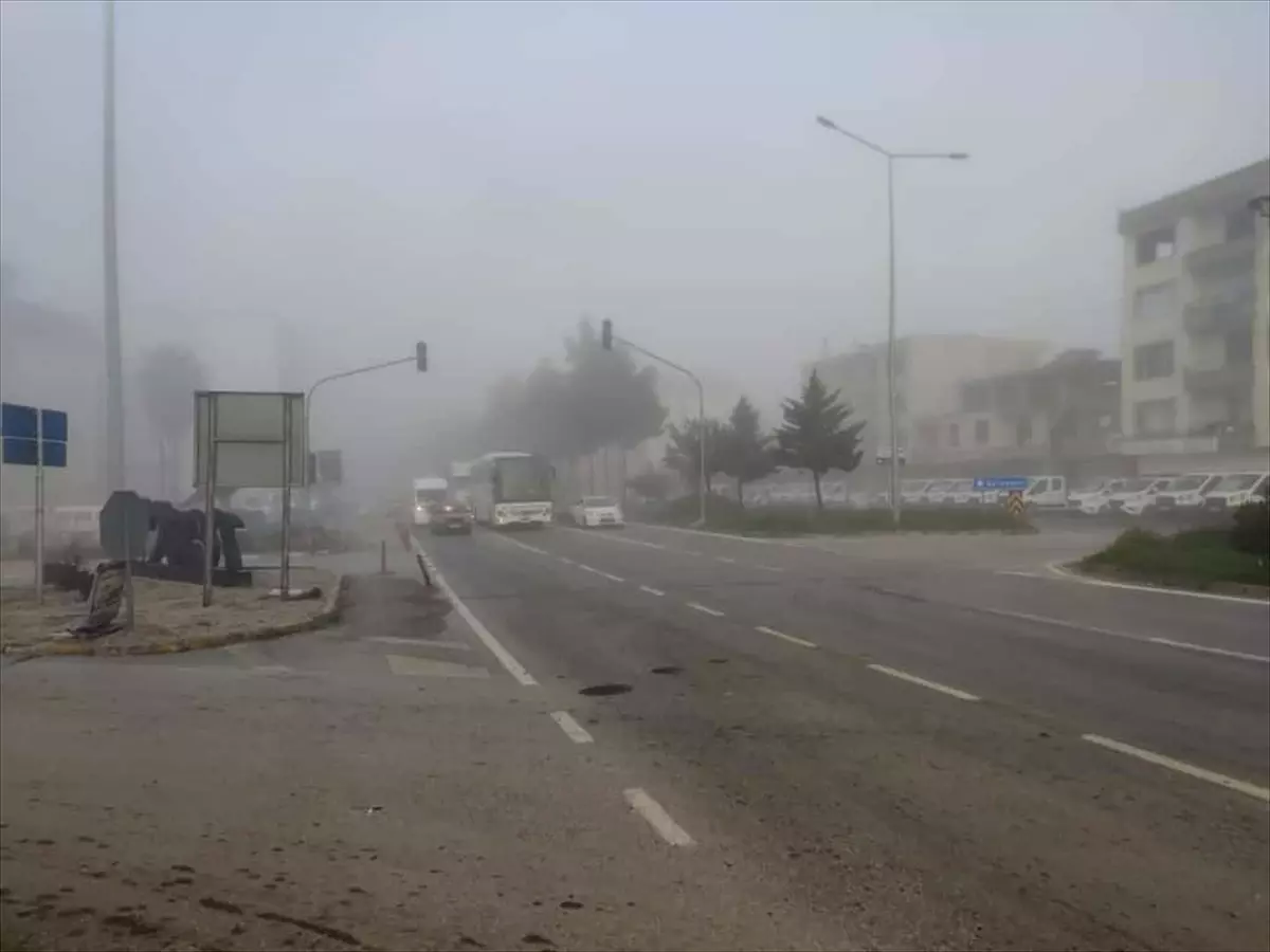 Terme\'de Yoğun Sis Şehir Merkezini Etkiledi