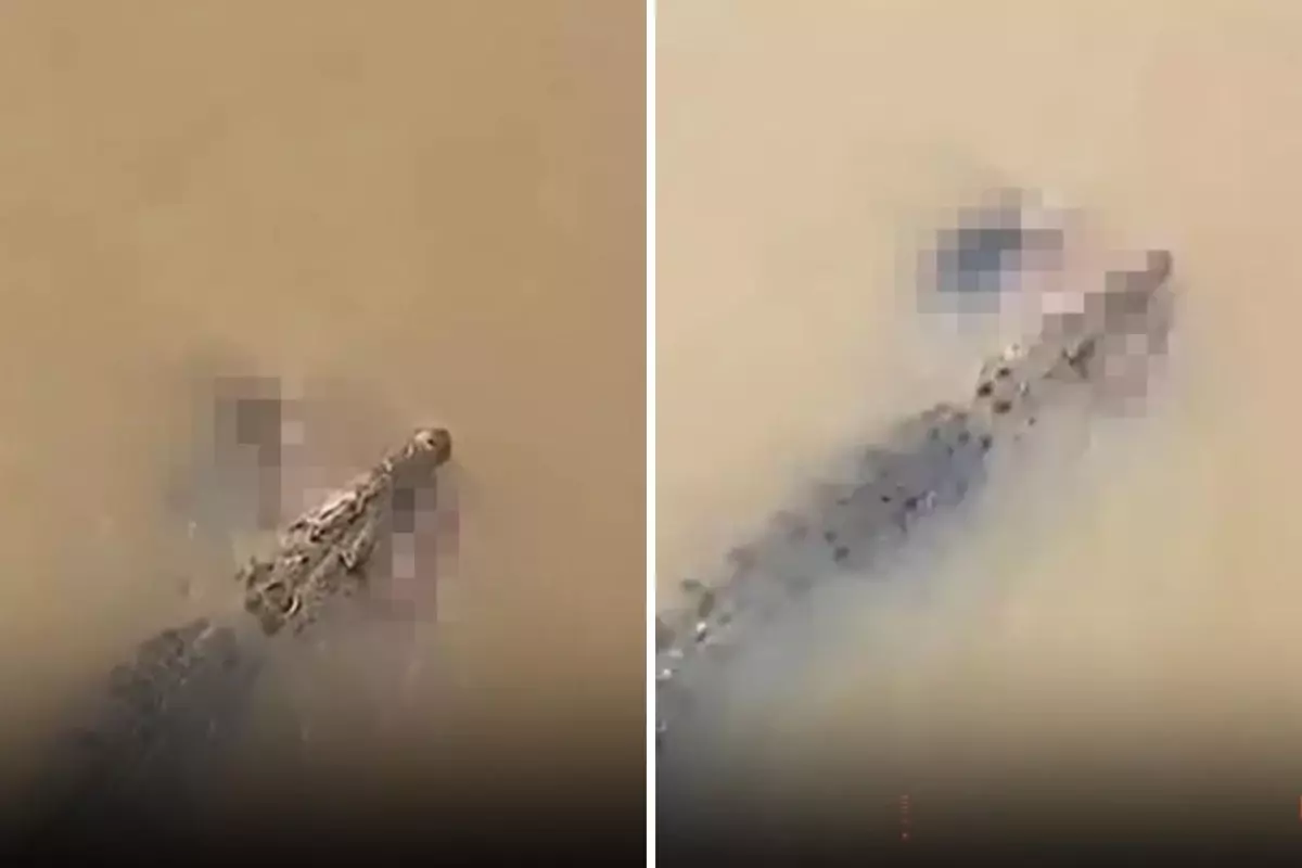 Timsah, nehirde yıkanan kadını suya çekerek ölürdü