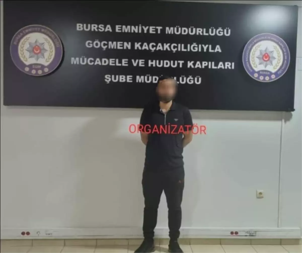 Bursa\'da Göçmen Kaçakçılığı Operasyonu