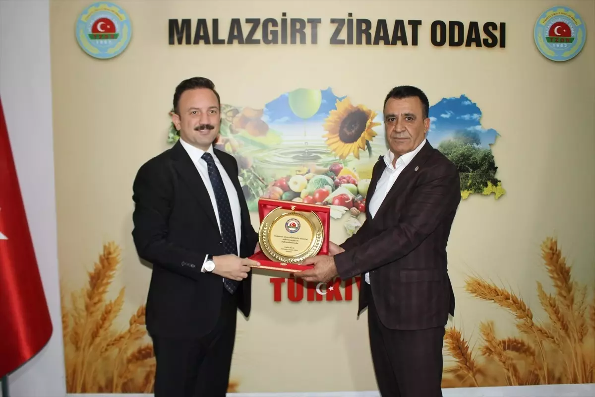 DAP Başkanı Malazgirt\'te Tarımsal Yatırımları İnceledi