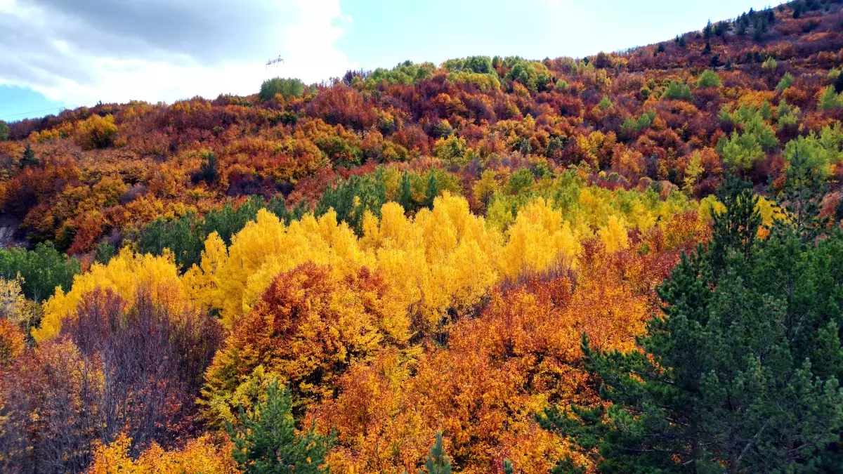 Geminbeli Geçidi\'nde Sonbahar Renkleri