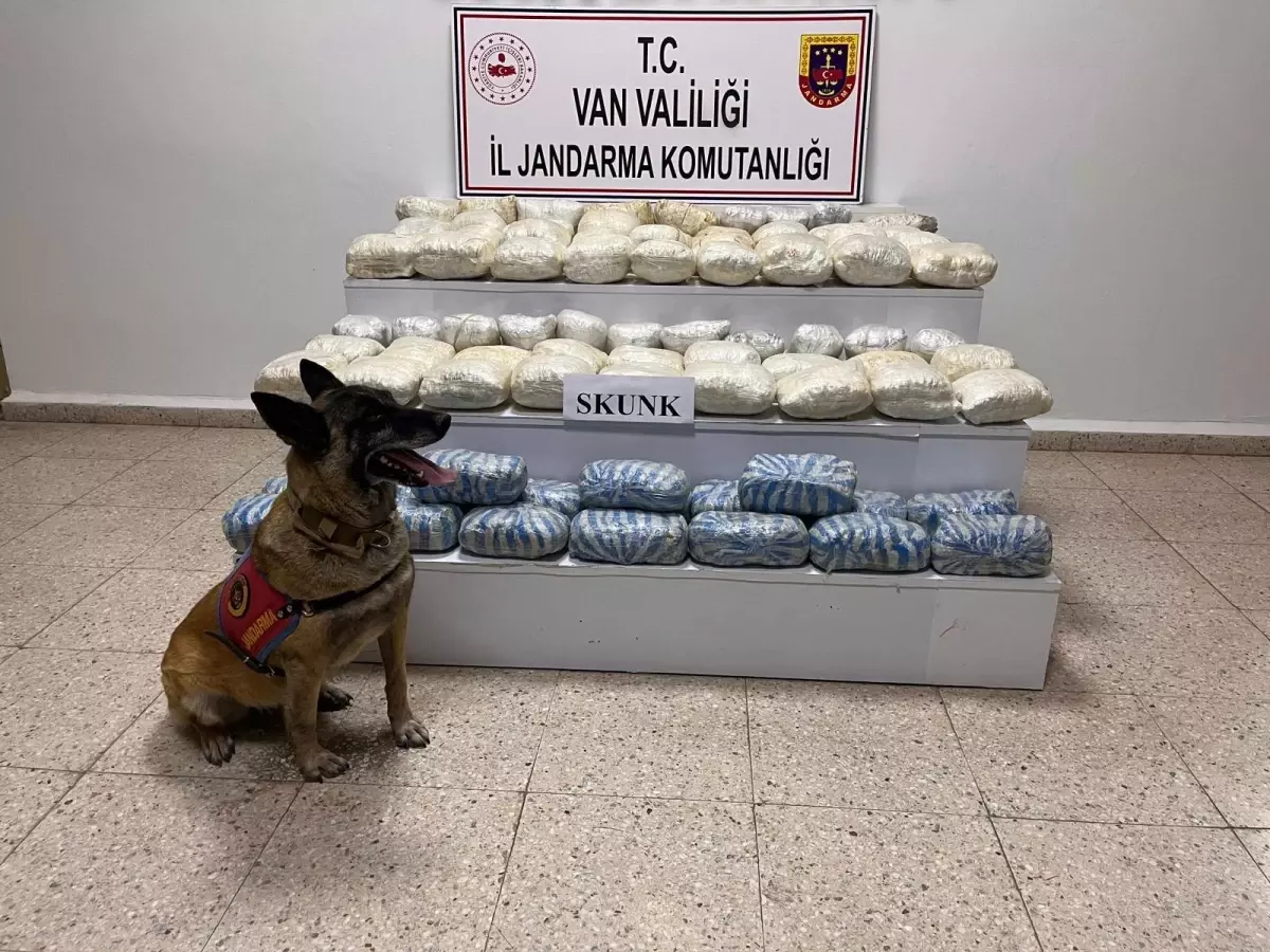 Başkale\'de 48 Kilo Skunk Ele Geçirildi