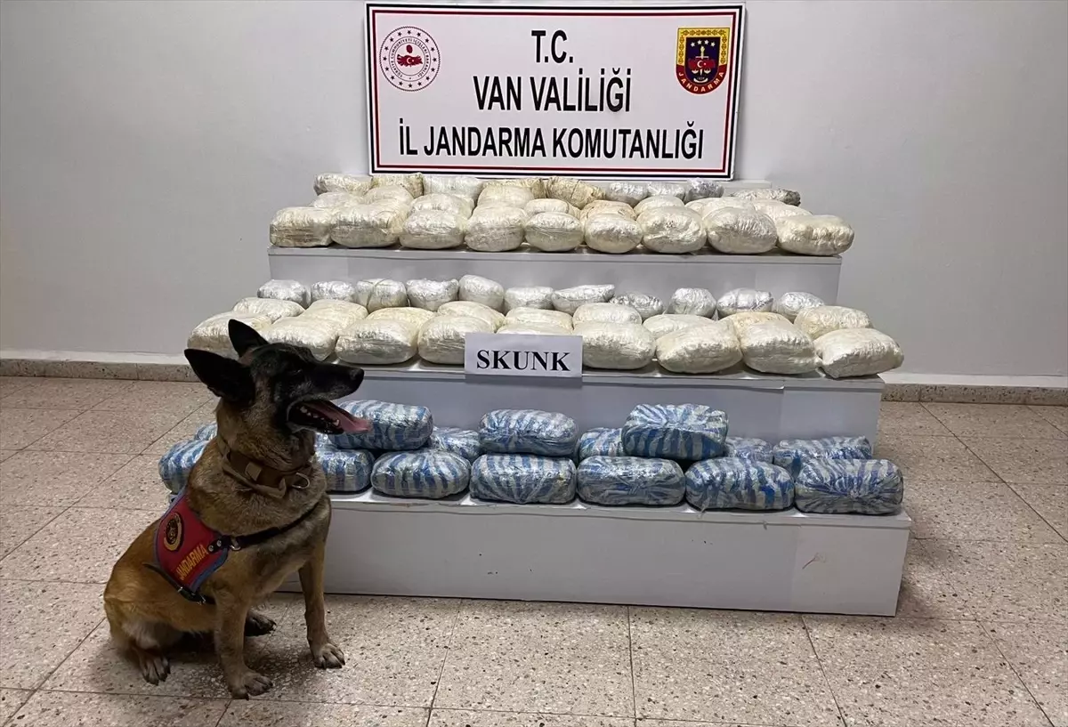 Başkale\'de 47 Kilo Skunk Ele Geçirildi