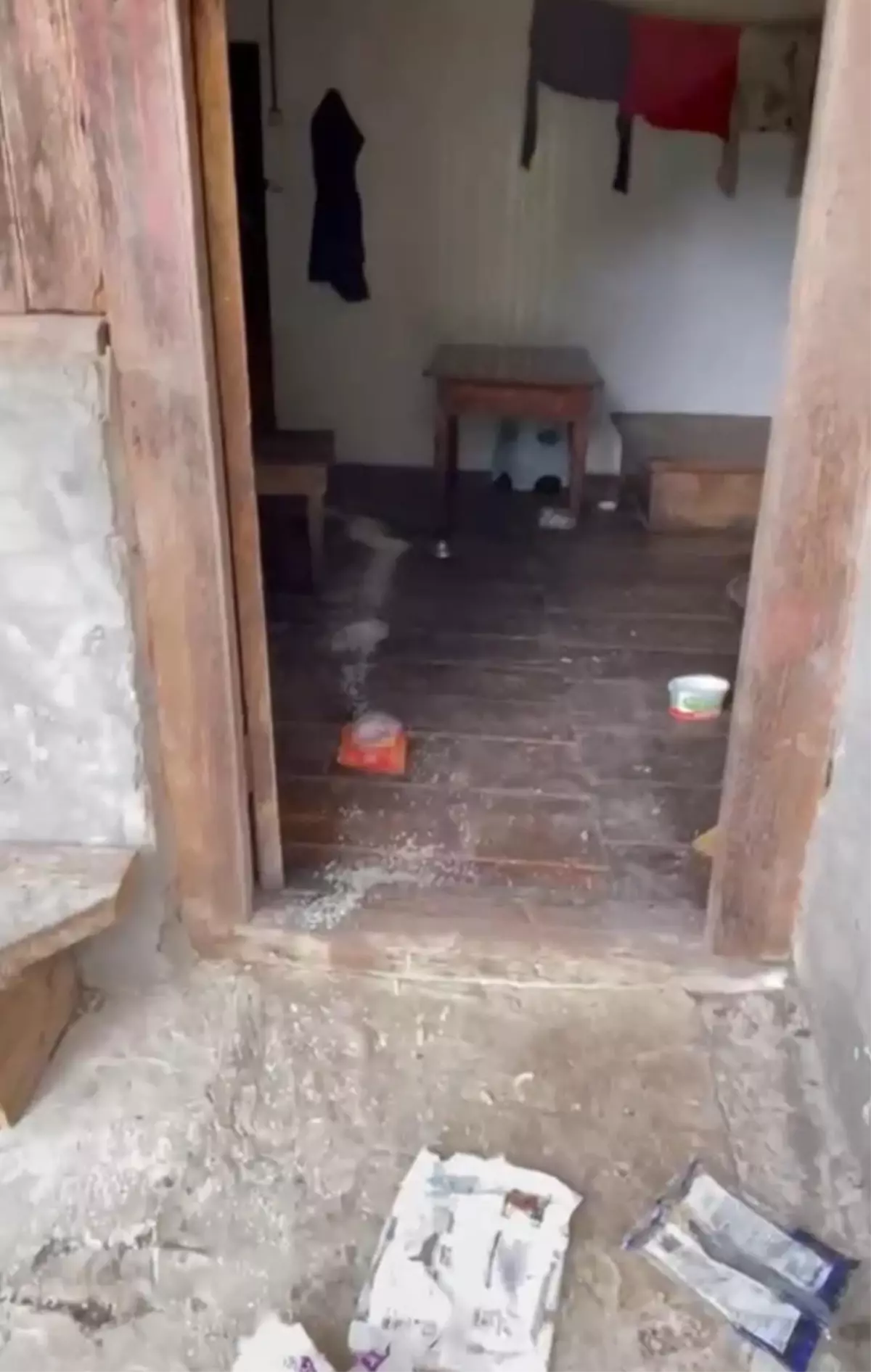 Ayılar 8 Köye Zarar Verdi