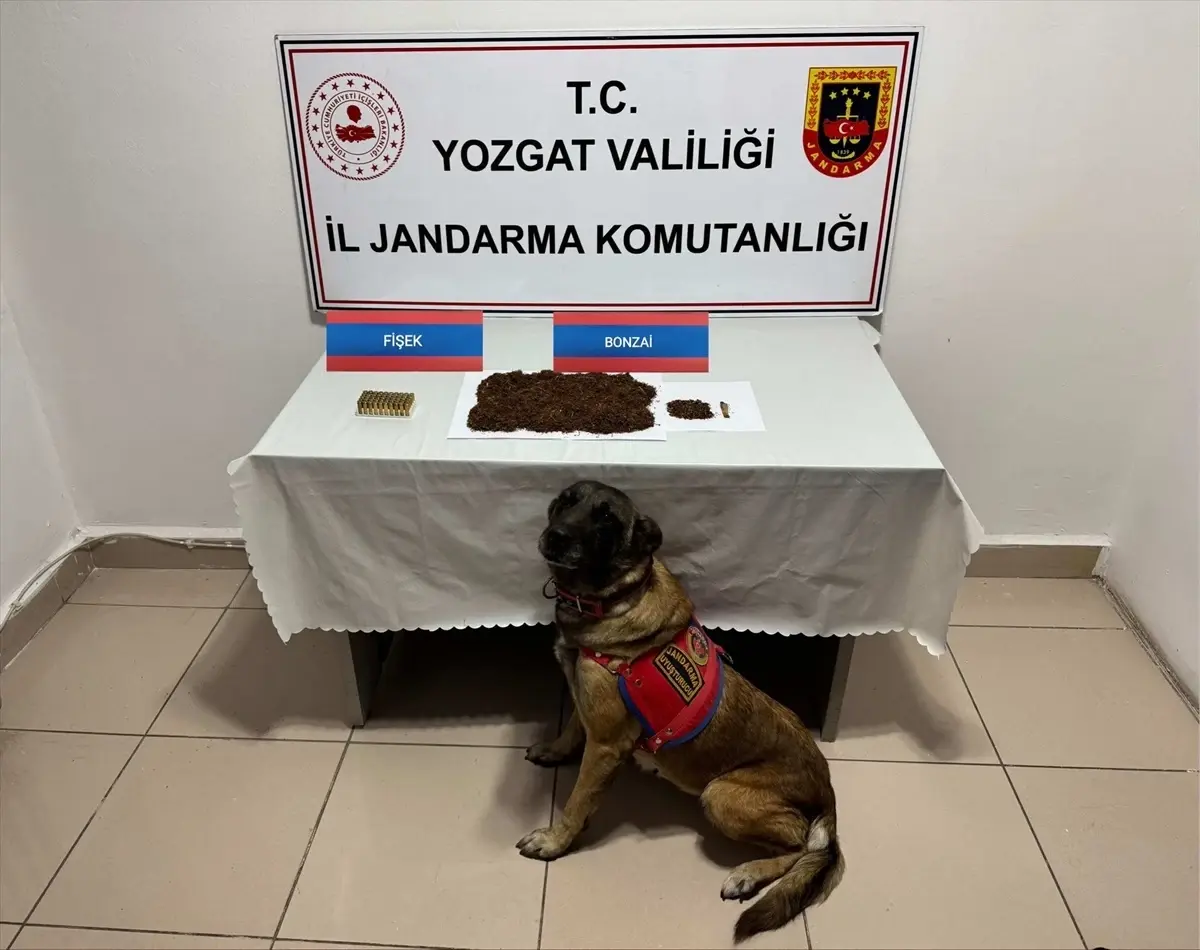 Yozgat\'ta Uyuşturucu Operasyonu
