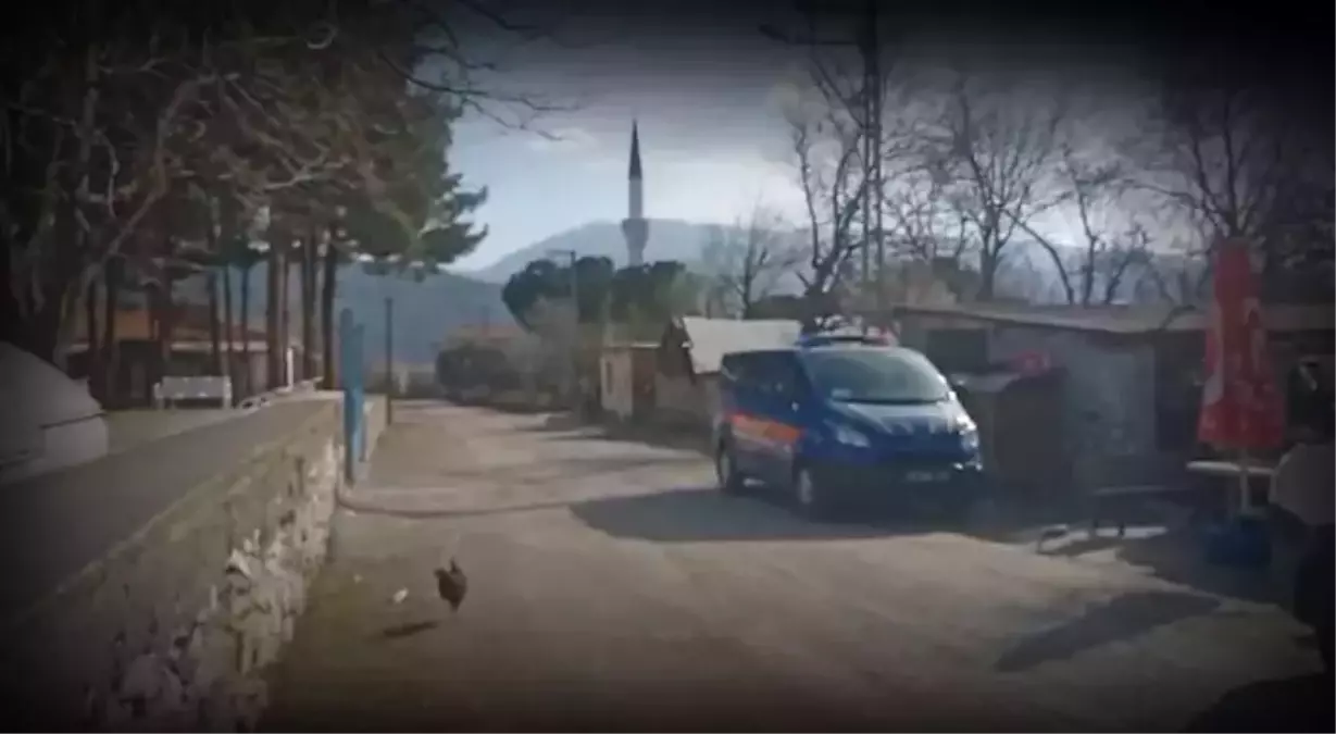 Yaşlı kadını önce öldürüp sonra ateşe vermişti! Mahkemedeki sözlerine hakim dahi dayanamadı