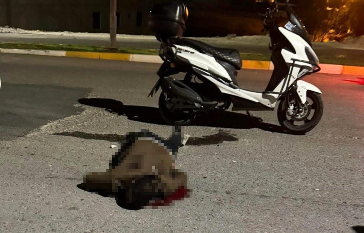 Bıçaklı Saldırı: Genç Hayatını Kaybetti