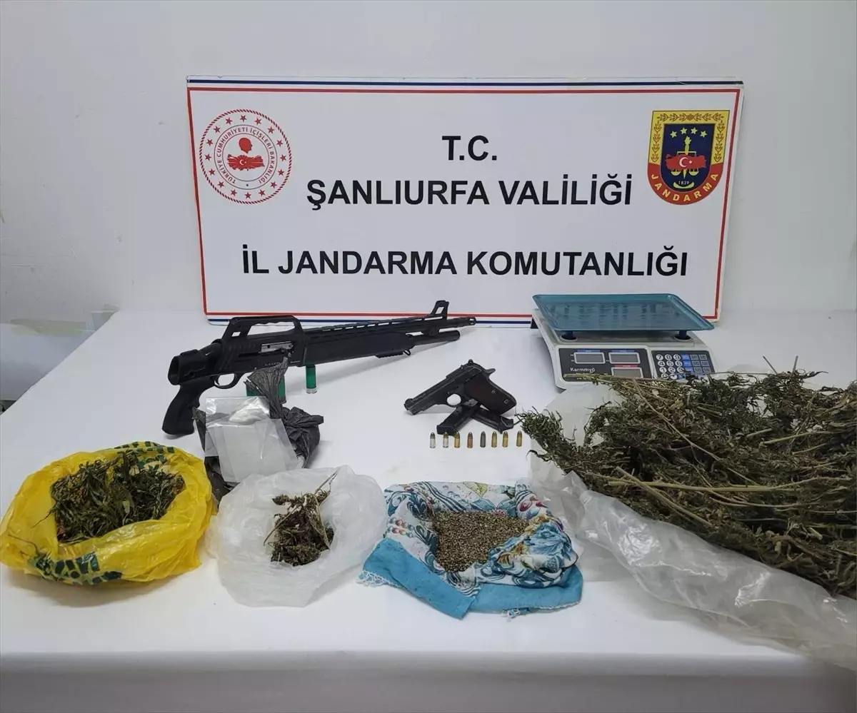 Suruç\'ta Uyuşturucu ve Silah Operasyonu