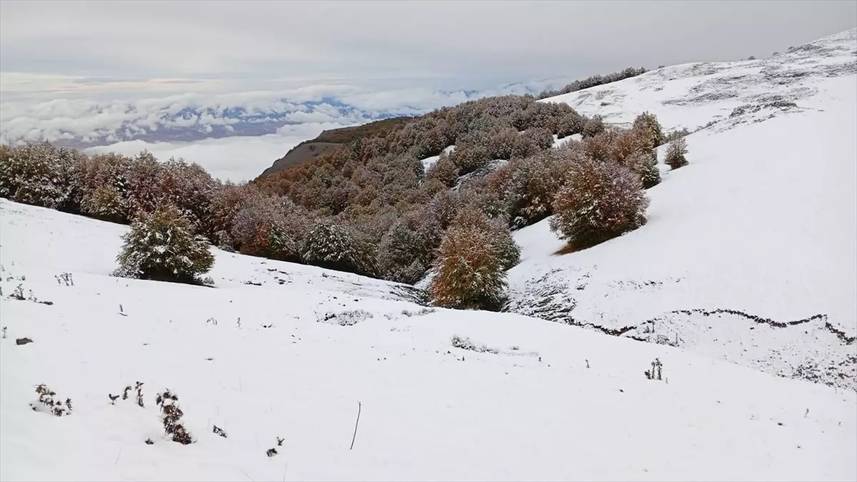 Amasya Yükseklerinde Kar Yağışı