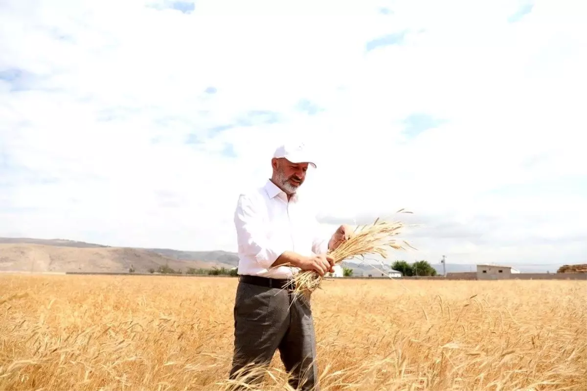 Kocasinan Belediyesi\'nden Ata Tohumları Eğitimi