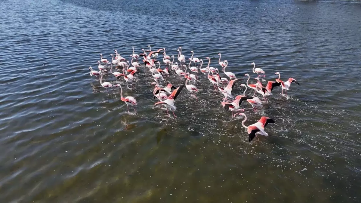 İzmir\'de Sonbahar Renkleri