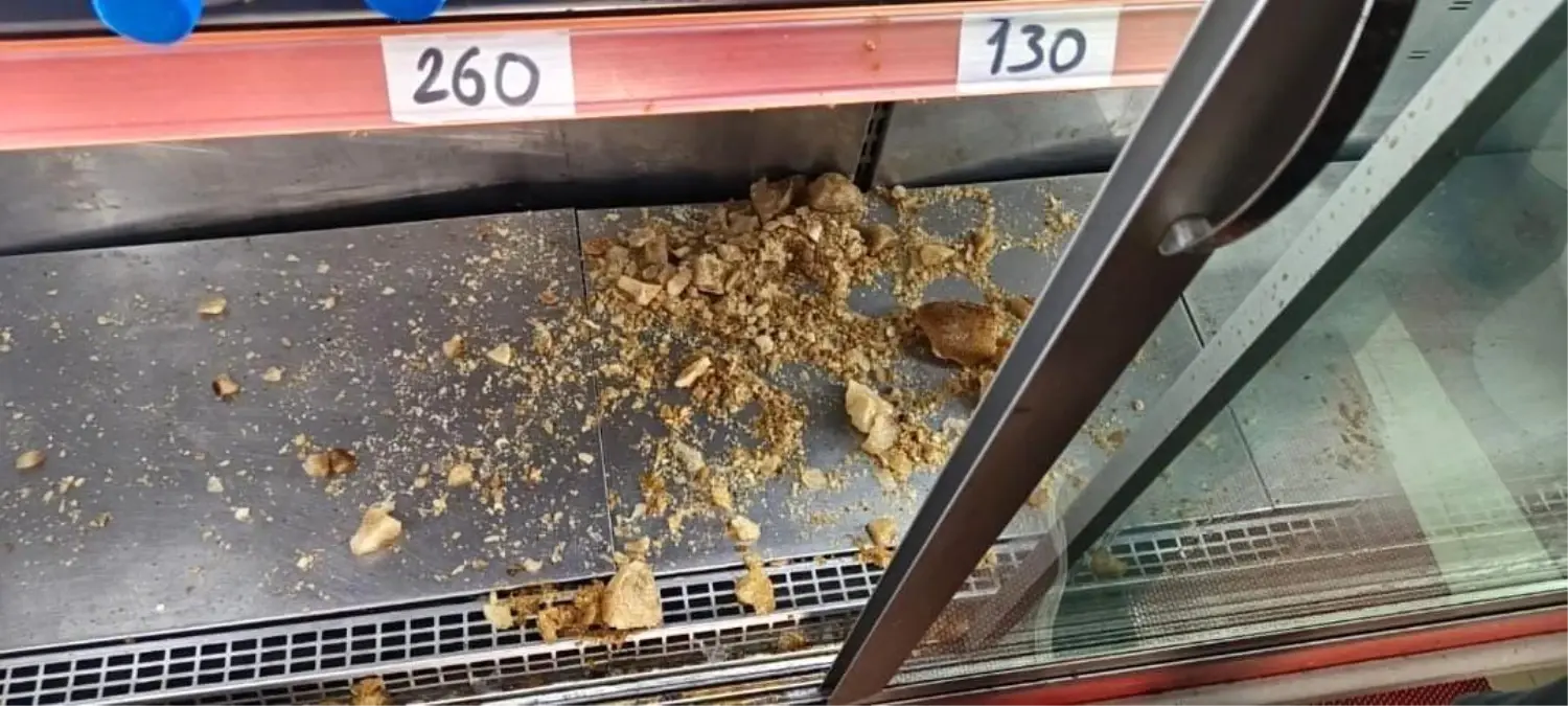 Tavuk Dünyası\'nda Korku Dolu Anlar