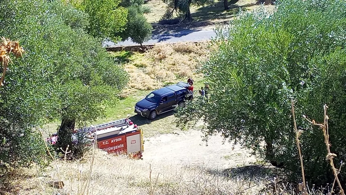 Nazilli\'de Maki Yangını Zeytinliğe Sıçradı