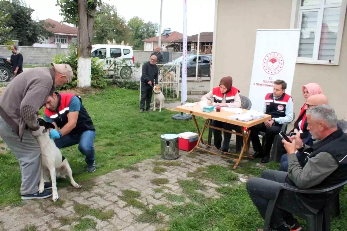 Düzce\'de 13 Bin 123 Ev Hayvanına Mikroçip Takıldı