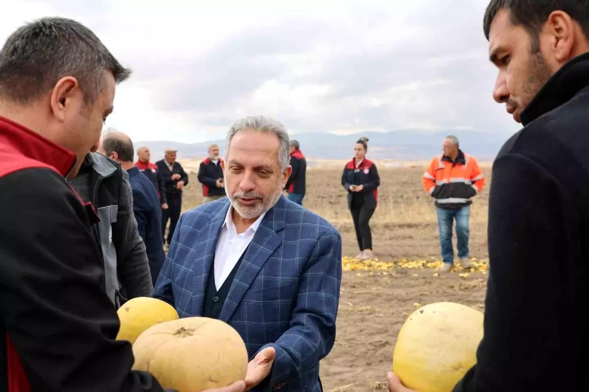 Talaslı Çiftçiler Kabak Çekirdeği Üretiminde Türkiye Birincisi Oldu