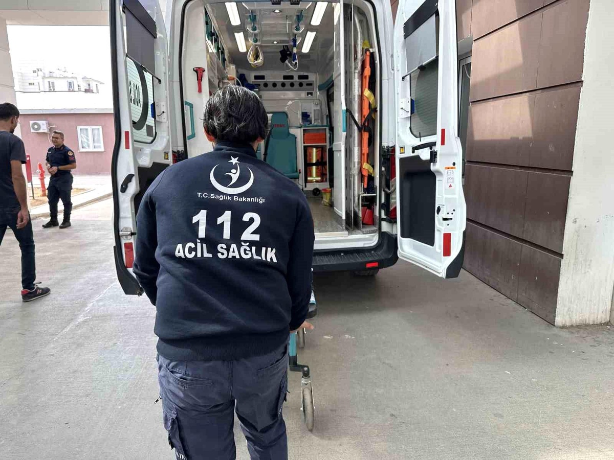 Zeytin Ağaçından Düşen Kişi Yaralandı