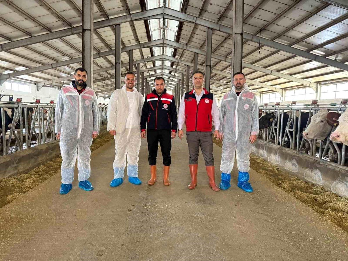 Afyonkarahisar\'da Yeni Ari İşletme Sertifikası