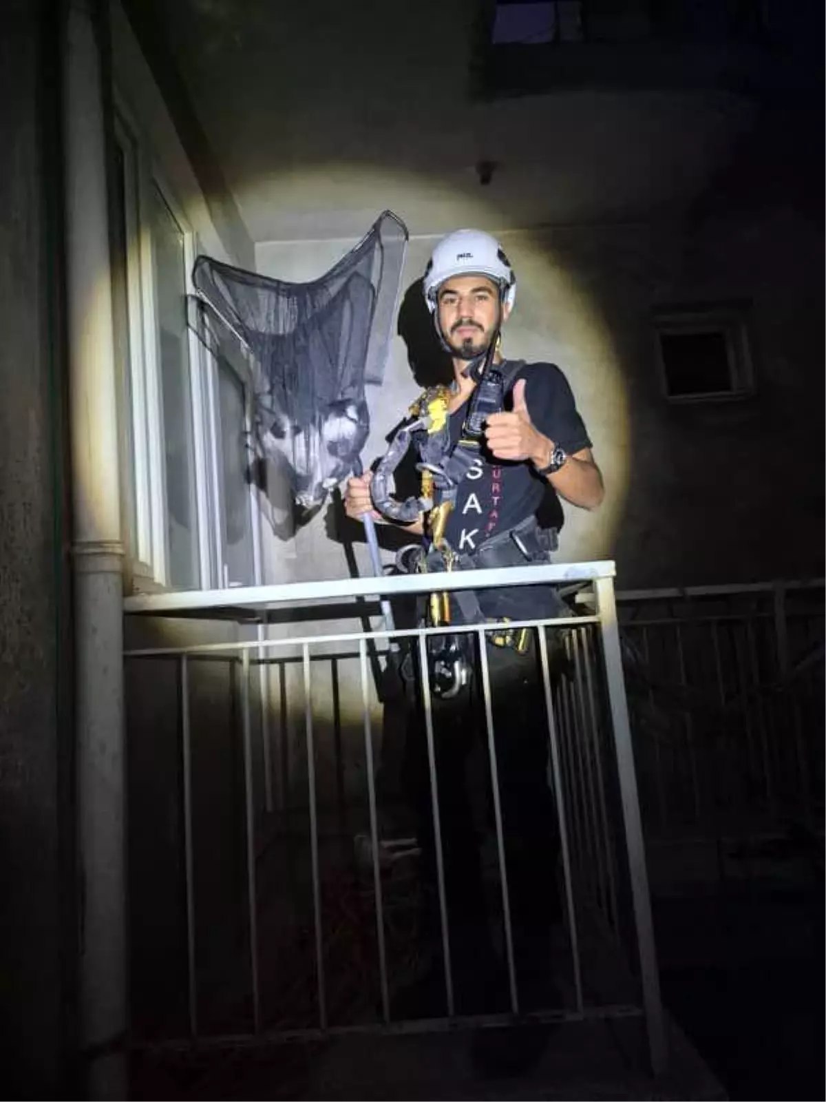 Mahsur Kalan Yavru Kedi Kurtarıldı