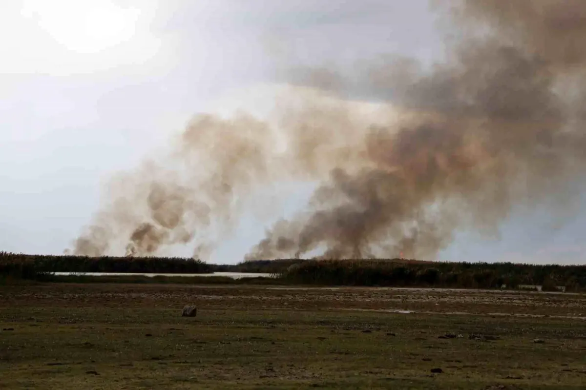 Güroymak\'ta Sazlık Yangını