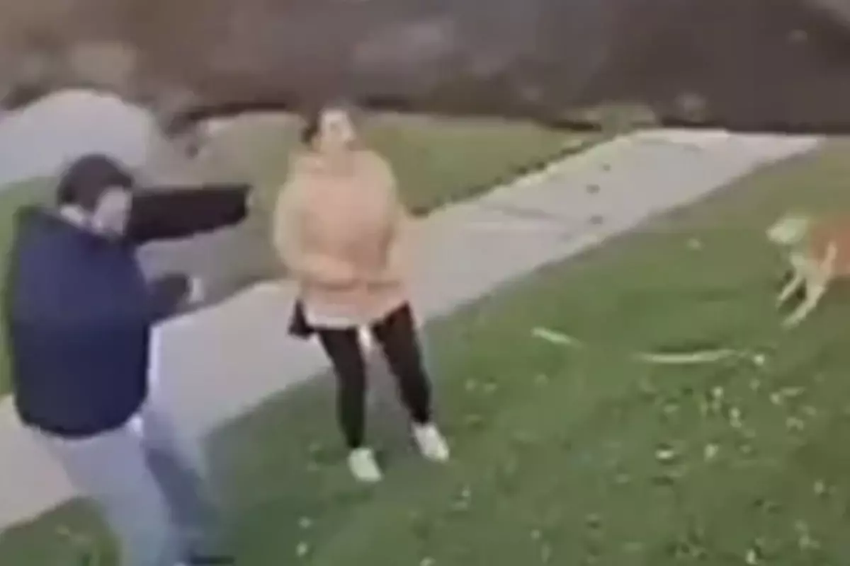 Dev ağaç üzerlerine devrildi, saniyelerle ölümden kurtuldular