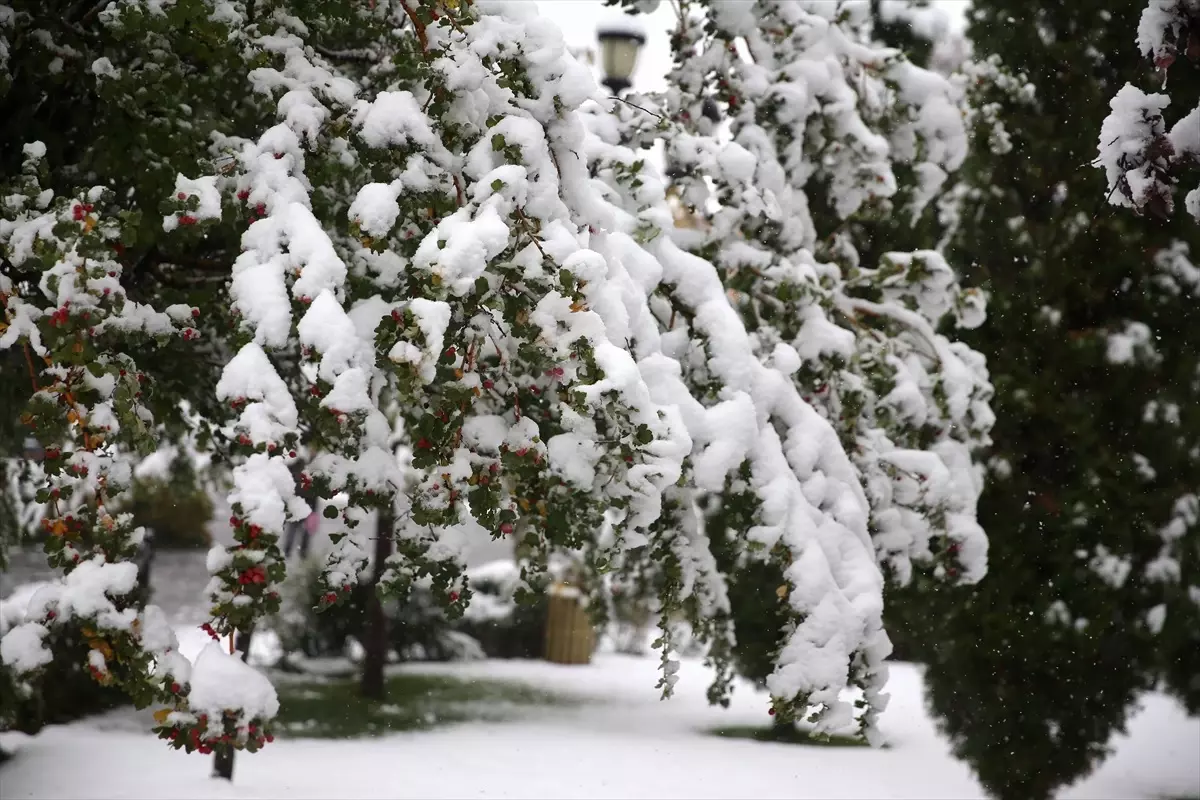 Erzurum\'a Mevsimin İlk Karı Düştü
