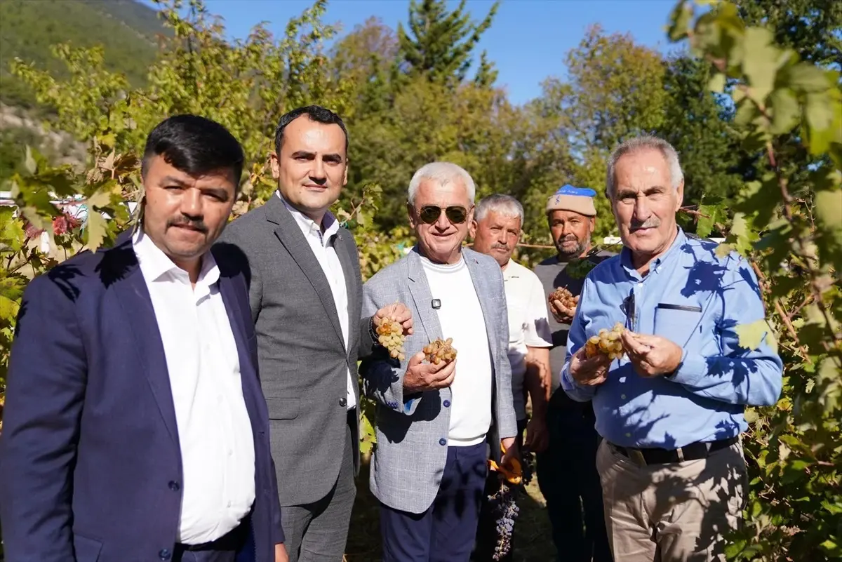 Yazır Üzüm Şenliği Coşkuyla Gerçekleştirildi