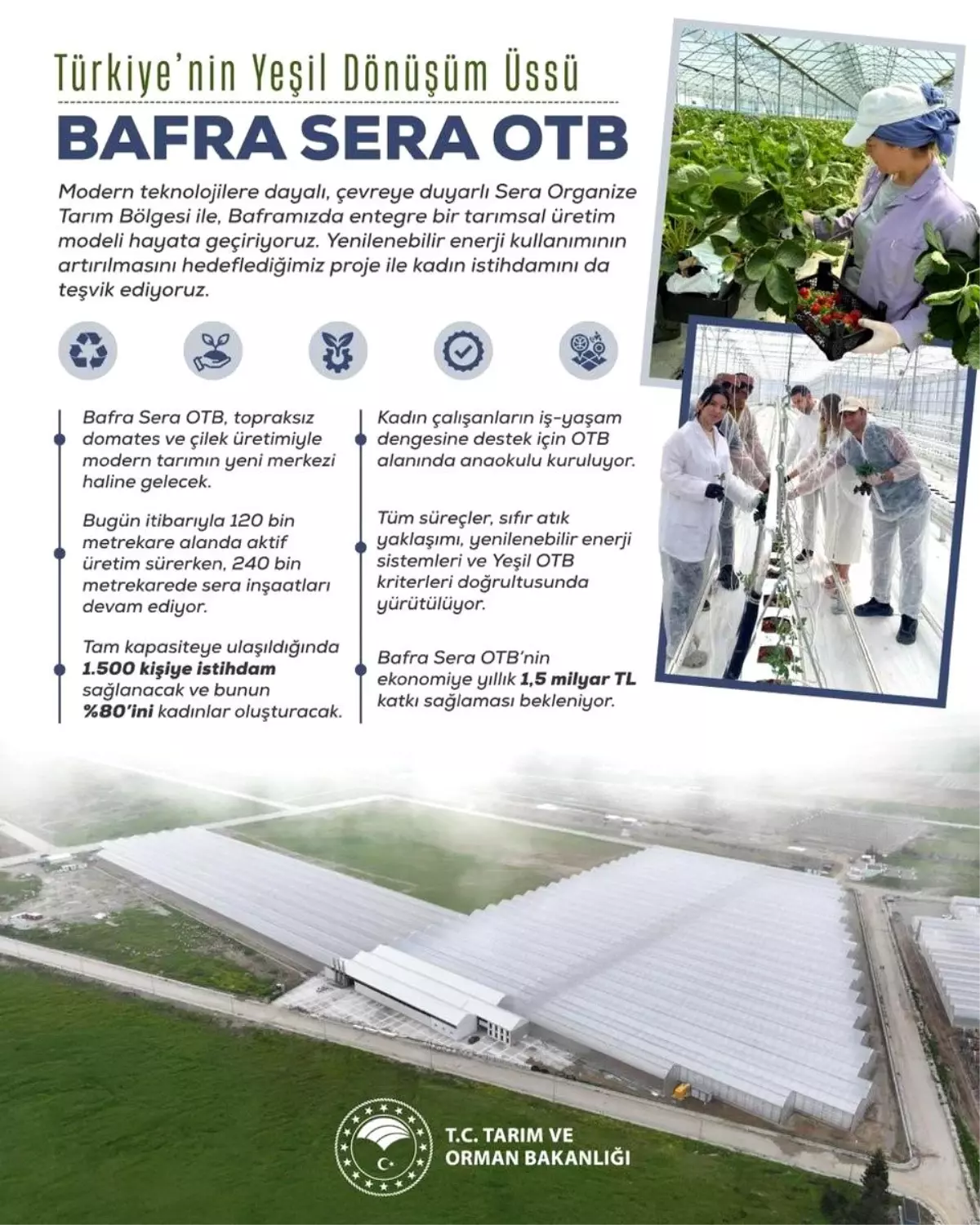 Bafra Sera Tarım Projesi ile Kadın İstihdamı Artacak