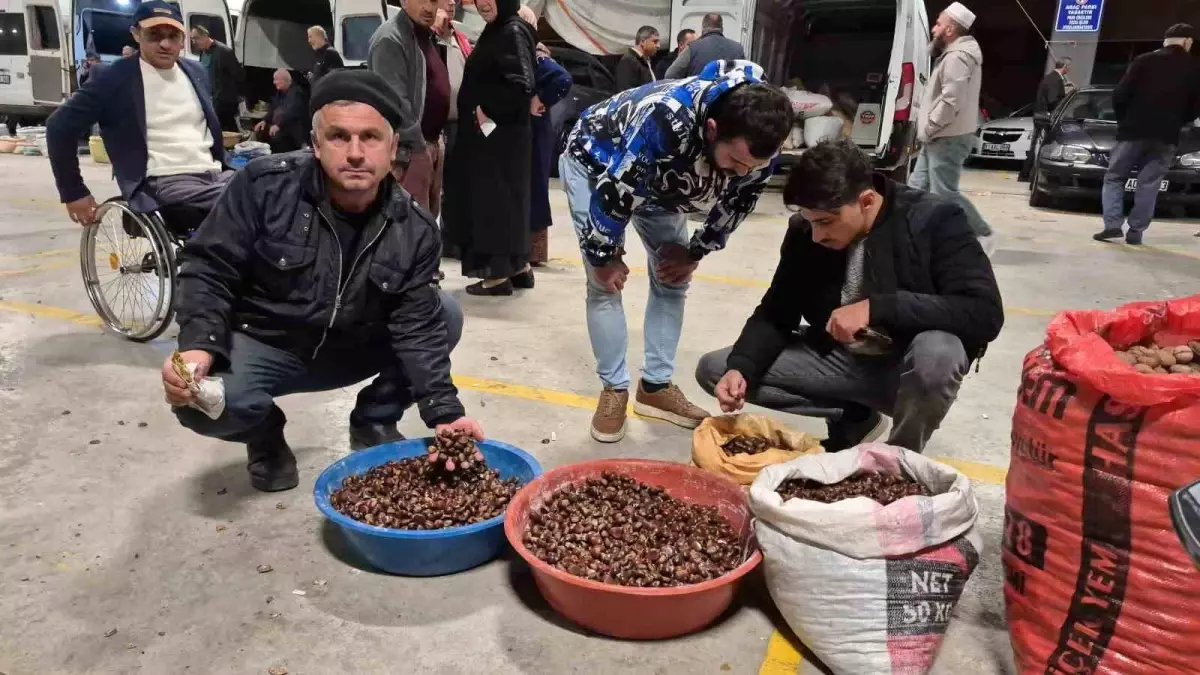 Düzce\'nin Ünlü Kuzu Kestanesi Pazarda Yoğun İlgi Görüyor