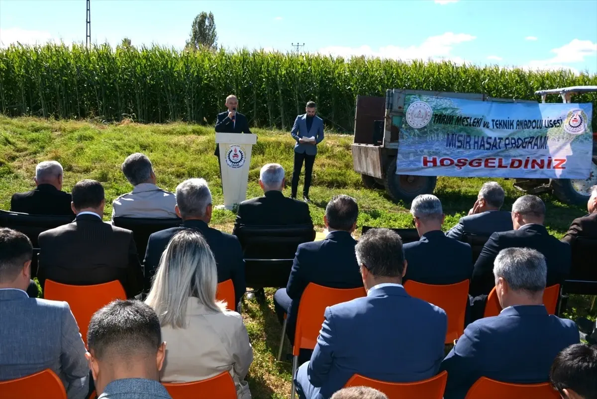 Battalgazi\'de Mısır Hasadı Yapıldı