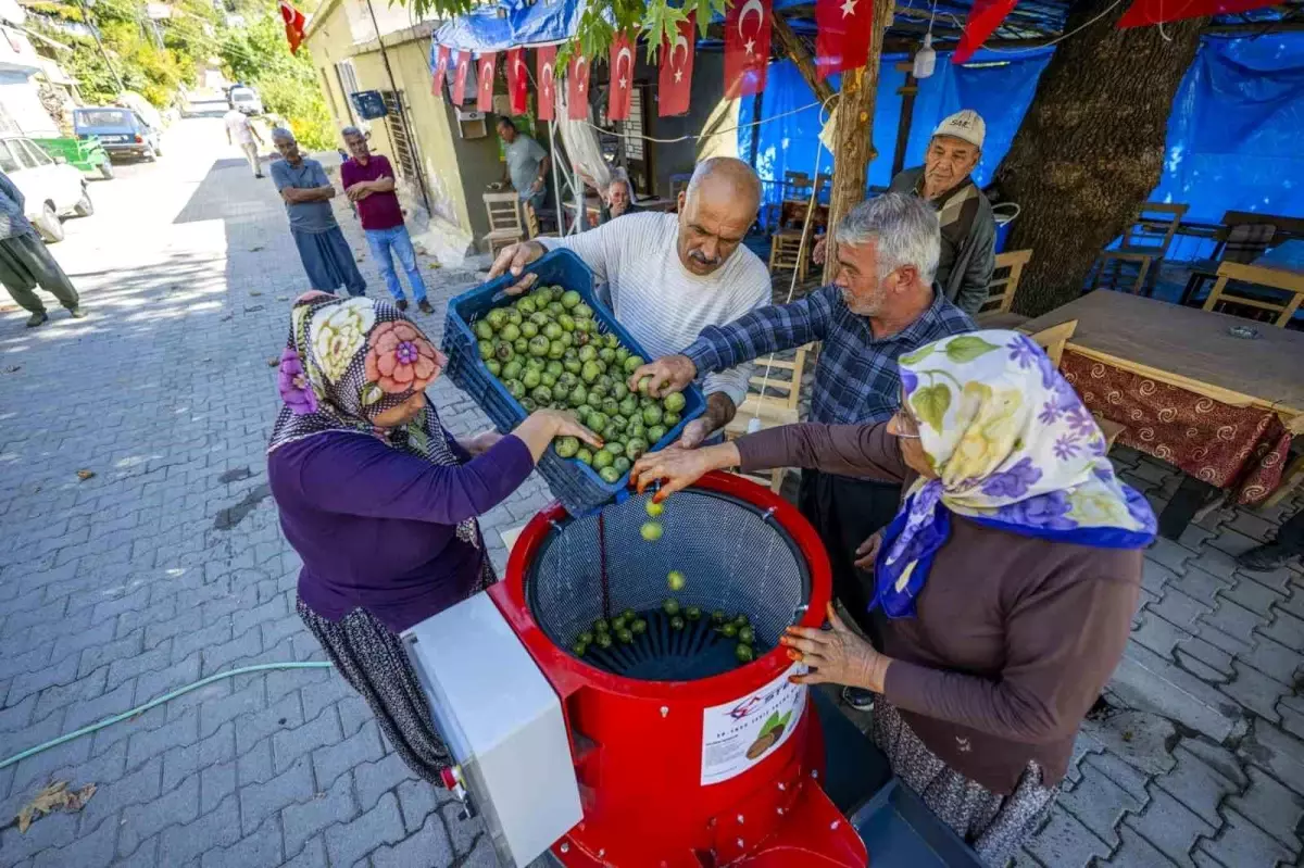 Mersin Belediyesi\'nden Ceviz Üreticilerine Makine Desteği