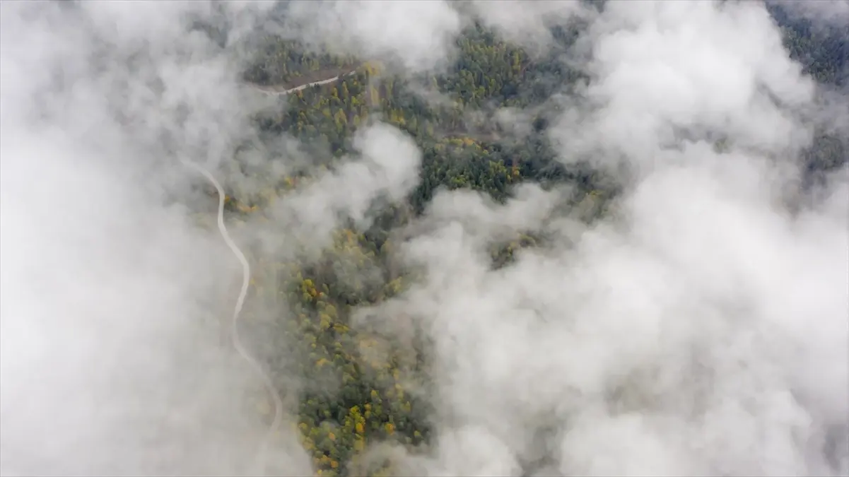 Yedigöller\'de Sisin Güzelliği