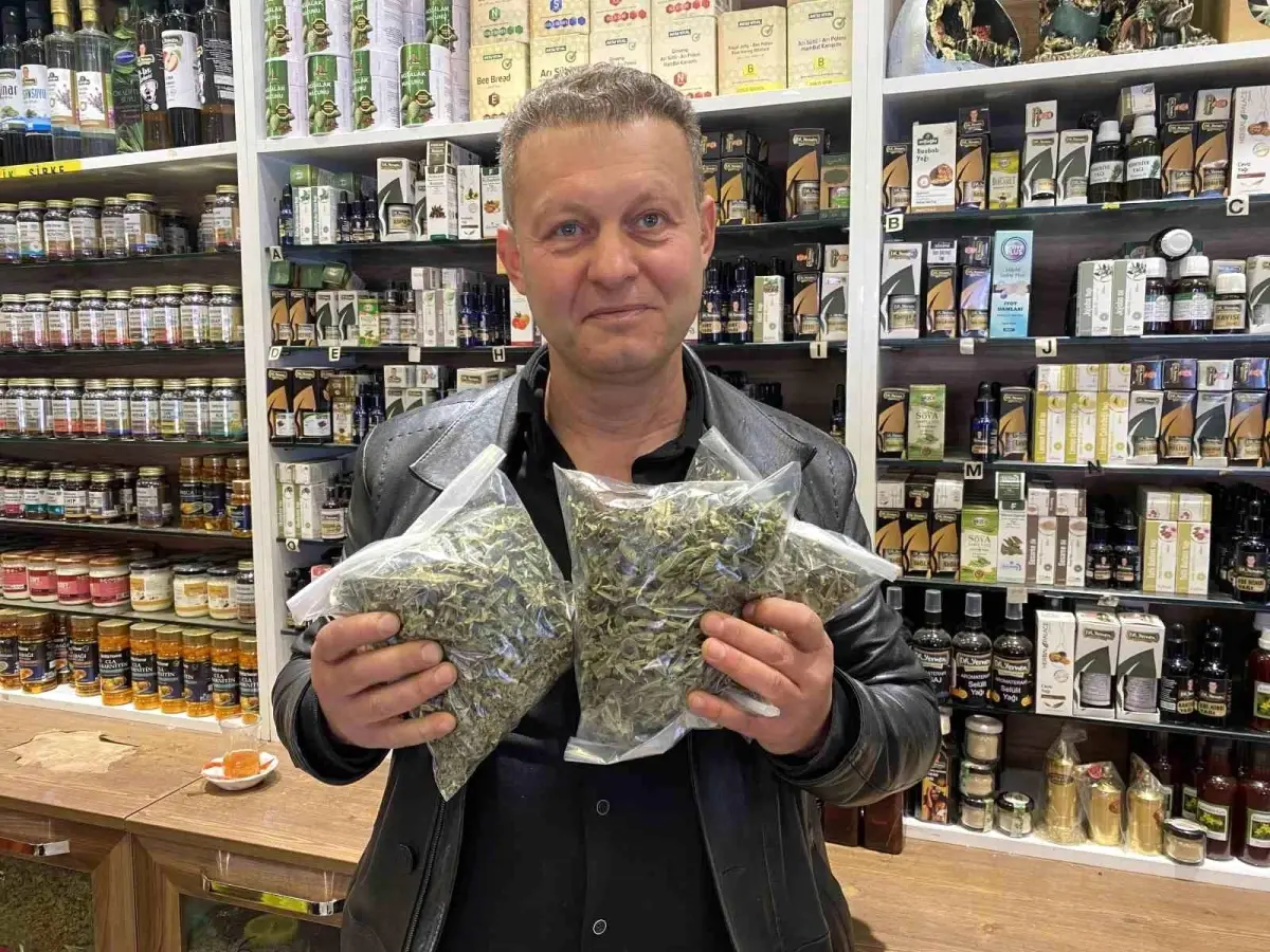 Bitkisel Ürünlere Artan İlgi
