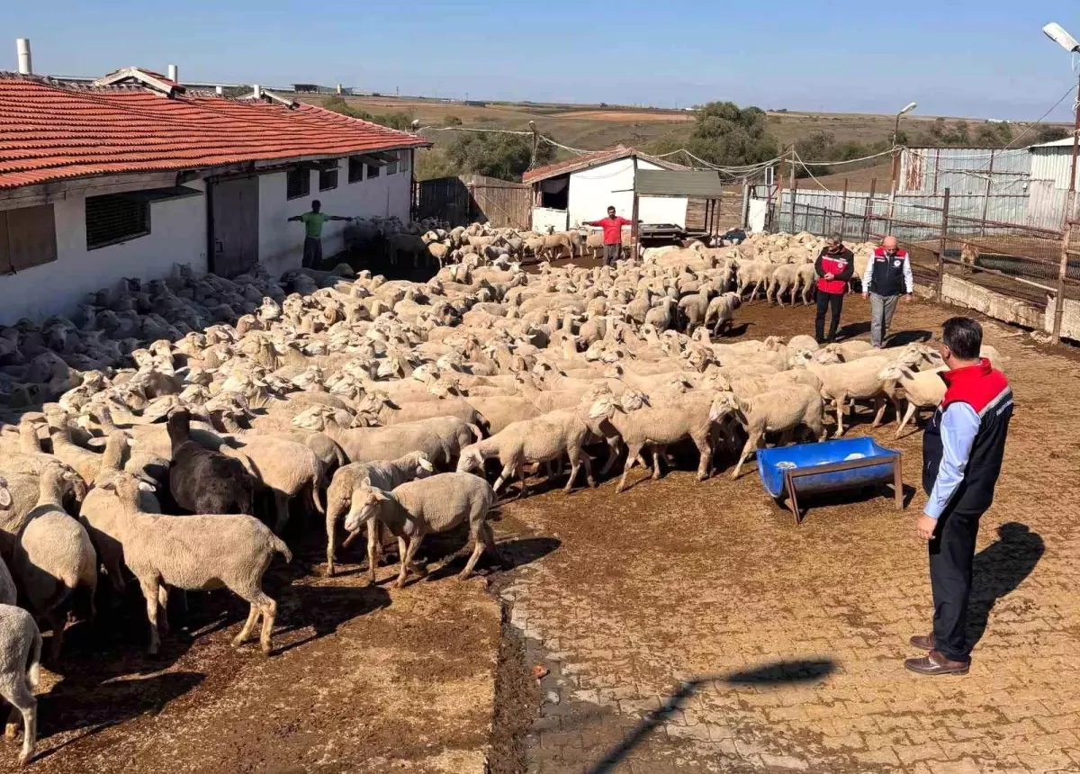 Tekirdağ\'da Tarımsal Faaliyetler İncelendi