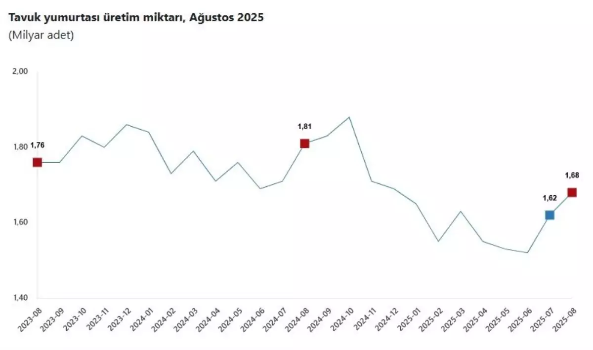 TÜİK: Ağustos\'ta Tavuk Eti Azaldı, Süt ve Yumurta Üretimi Arttı